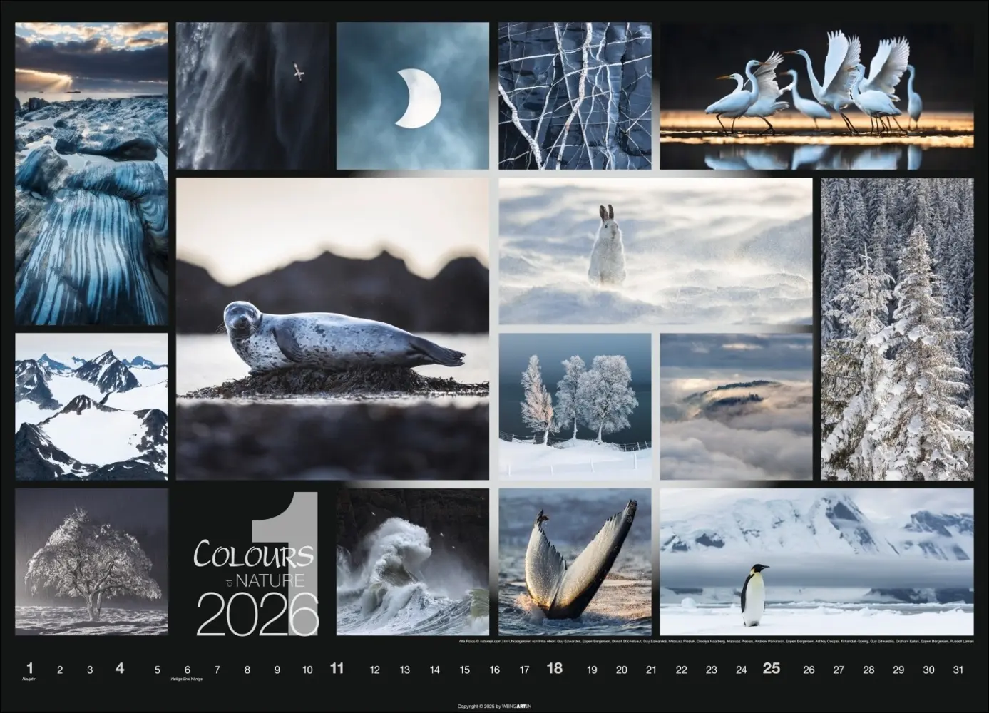 Bild: 9783839902448 | Colours of Nature Kalender 2026 | Kalender | Spiralbindung | 14 S.