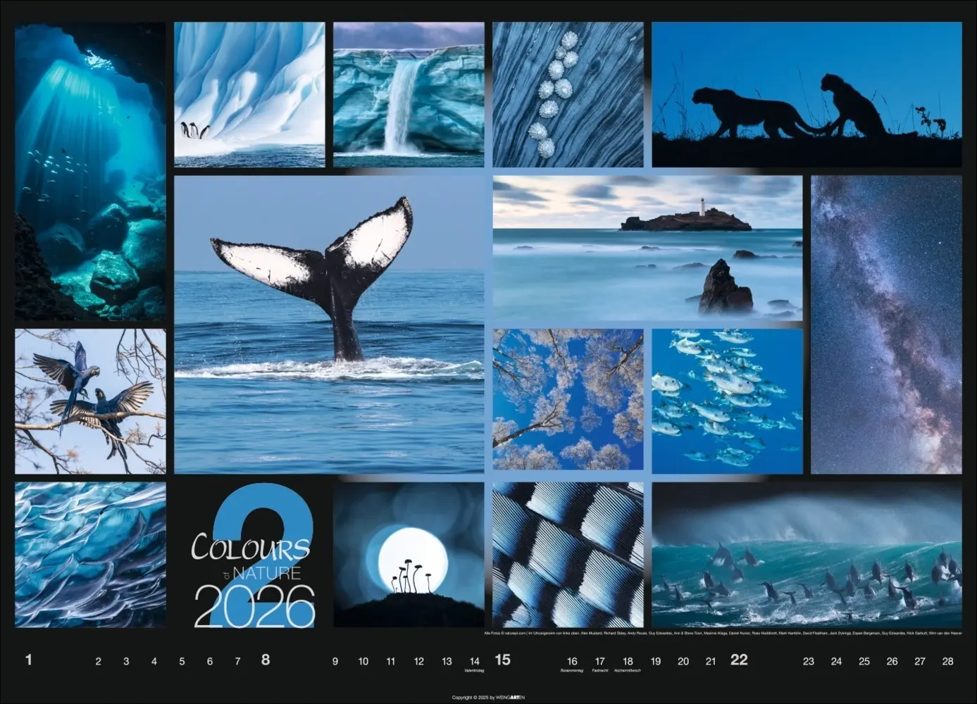Bild: 9783839902448 | Colours of Nature Kalender 2026 | Kalender | Spiralbindung | 14 S.