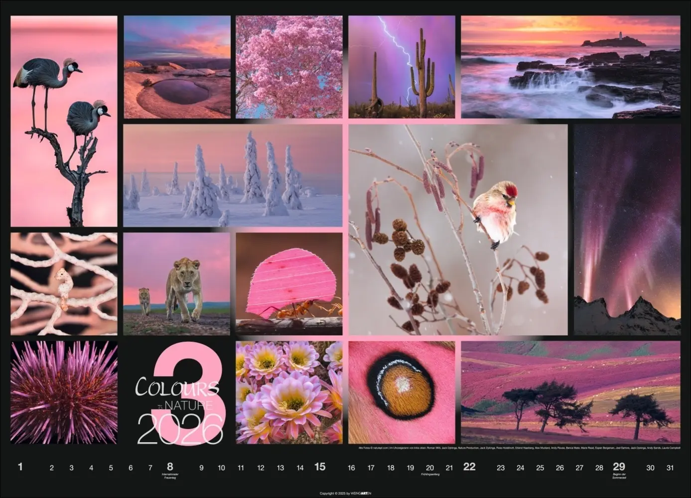 Bild: 9783839902448 | Colours of Nature Kalender 2026 | Kalender | Spiralbindung | 14 S.