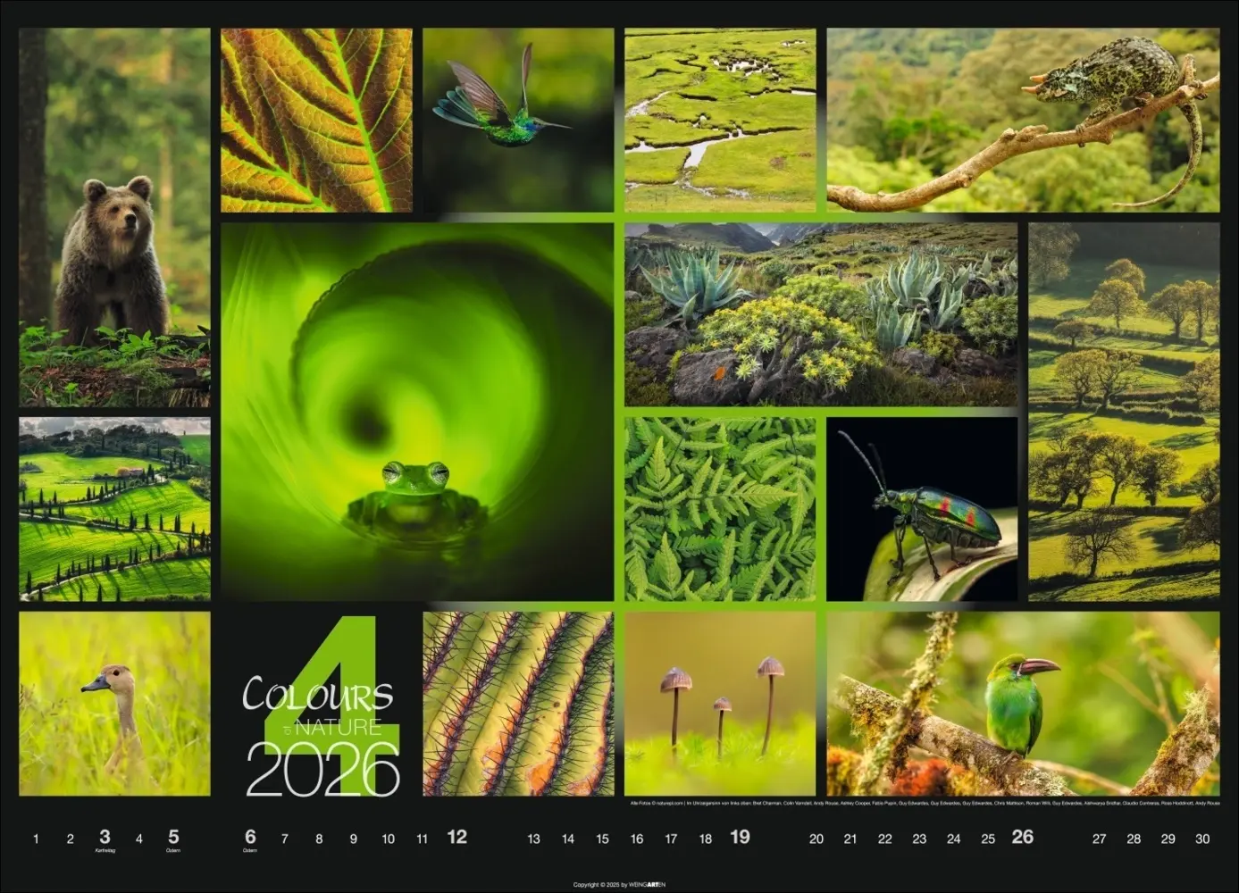 Bild: 9783839902448 | Colours of Nature Kalender 2026 | Kalender | Spiralbindung | 14 S.