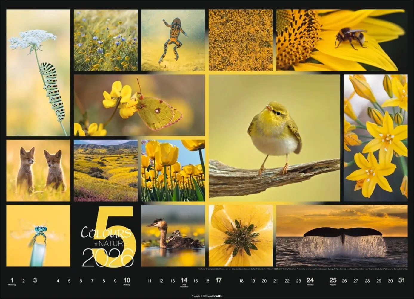 Bild: 9783839902448 | Colours of Nature Kalender 2026 | Kalender | Spiralbindung | 14 S.