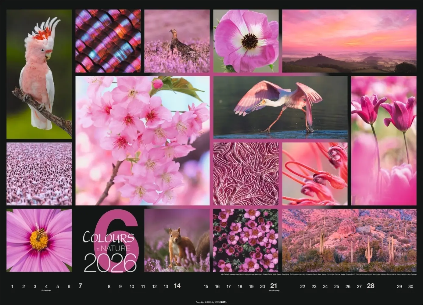 Bild: 9783839902448 | Colours of Nature Kalender 2026 | Kalender | Spiralbindung | 14 S.