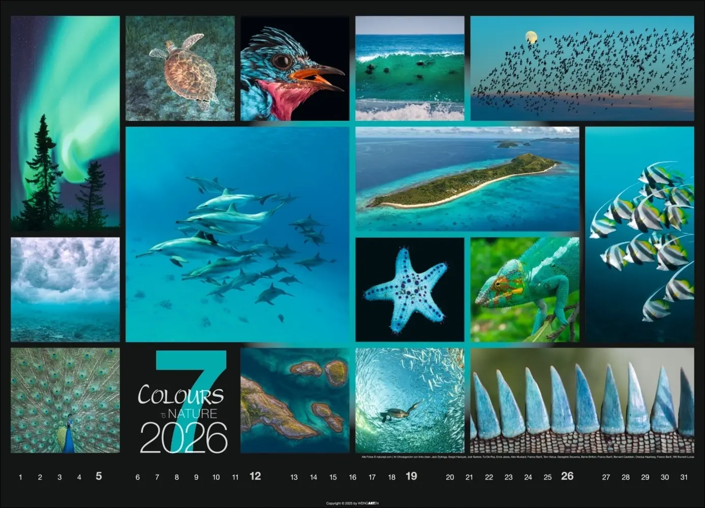 Bild: 9783839902448 | Colours of Nature Kalender 2026 | Kalender | Spiralbindung | 14 S.