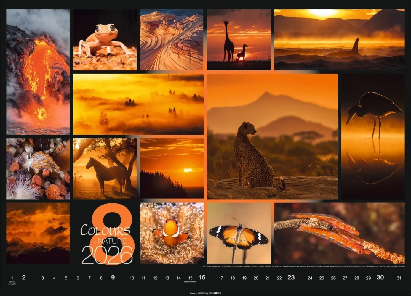 Bild: 9783839902448 | Colours of Nature Kalender 2026 | Kalender | Spiralbindung | 14 S.