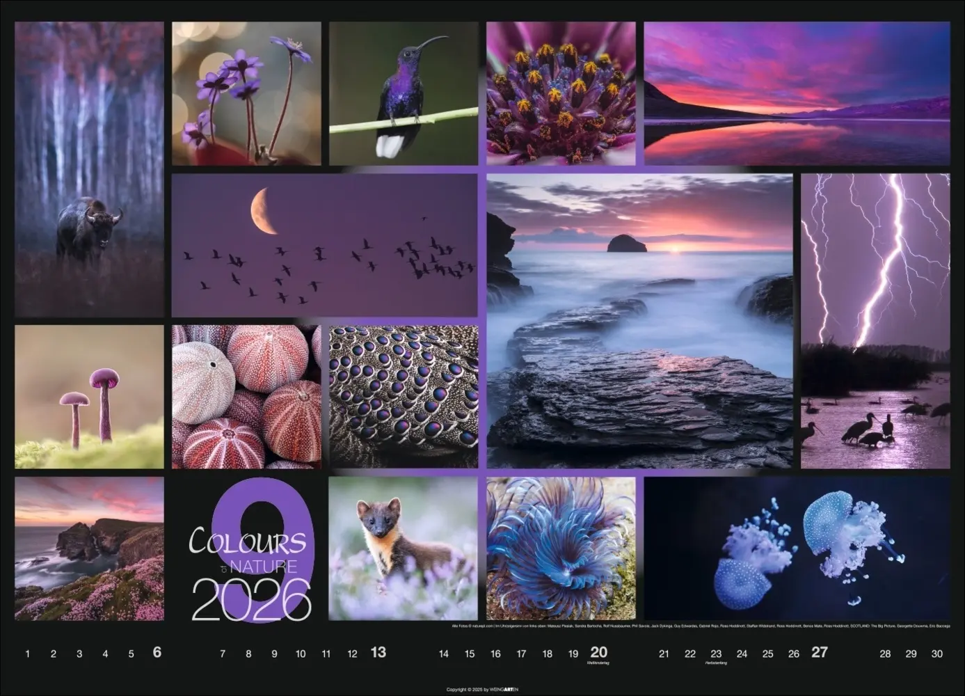 Bild: 9783839902448 | Colours of Nature Kalender 2026 | Kalender | Spiralbindung | 14 S.