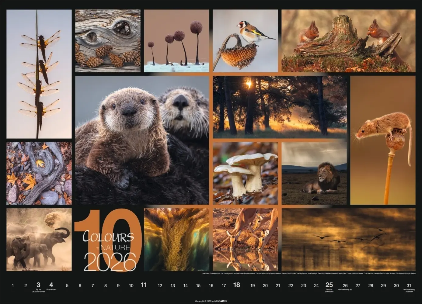 Bild: 9783839902448 | Colours of Nature Kalender 2026 | Kalender | Spiralbindung | 14 S.