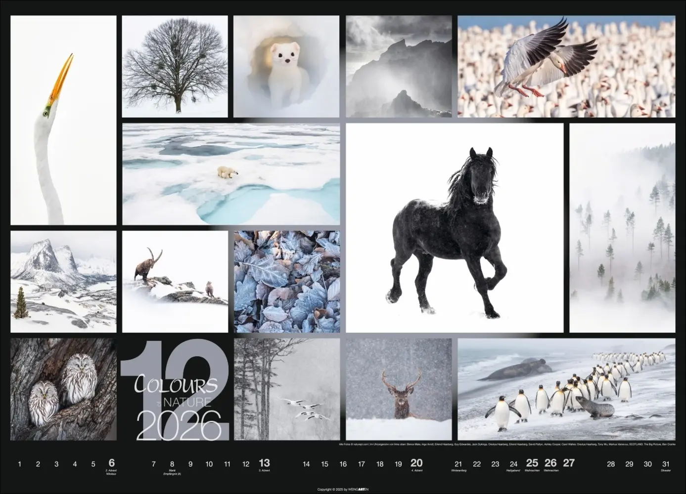 Bild: 9783839902448 | Colours of Nature Kalender 2026 | Kalender | Spiralbindung | 14 S.