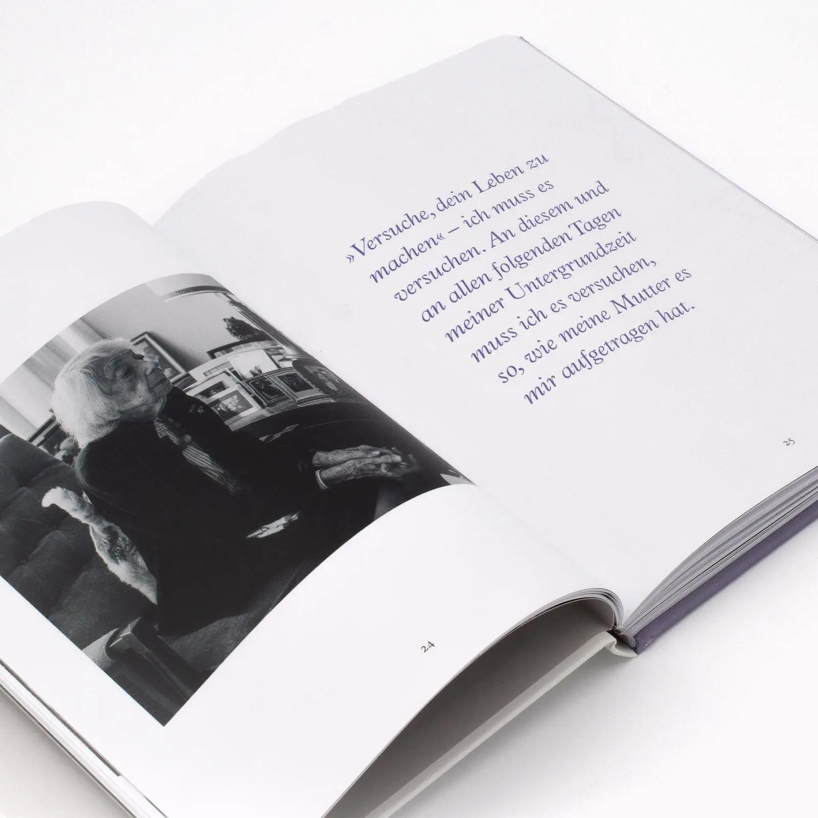 Bild: 9783949582448 | Margot Friedländer. Eine Stimme für das Leben | Markus C. Hurek | Buch