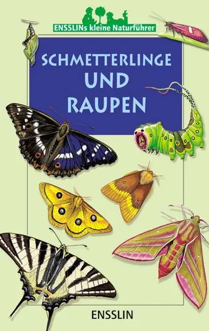 Cover: 9783401452548 | Schmetterlinge und Raupen | Léon Rogez | Taschenbuch | 32 S. | Deutsch