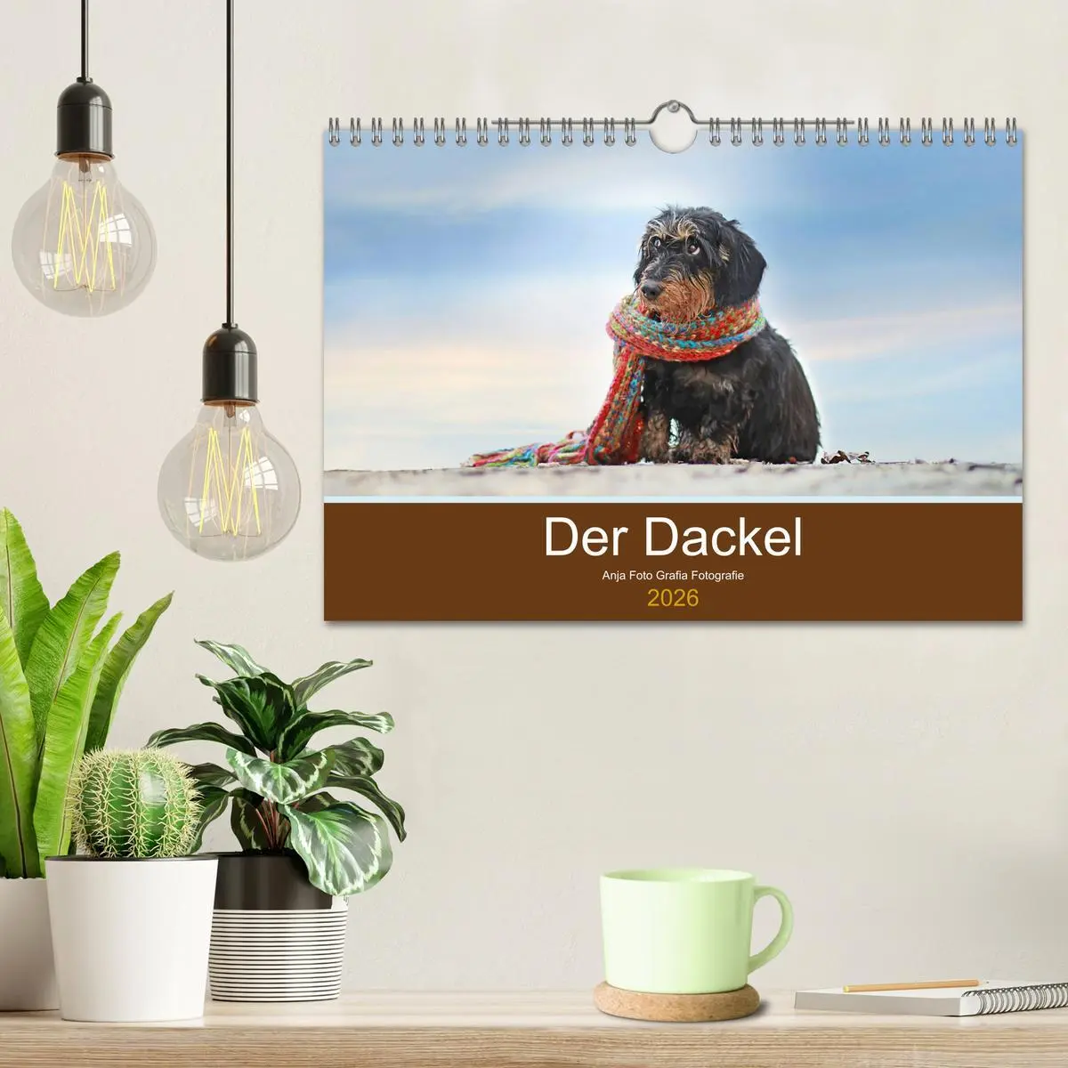 Bild: 9783457822548 | Der Dackel (Wandkalender 2026 DIN A4 quer), CALVENDO Monatskalender