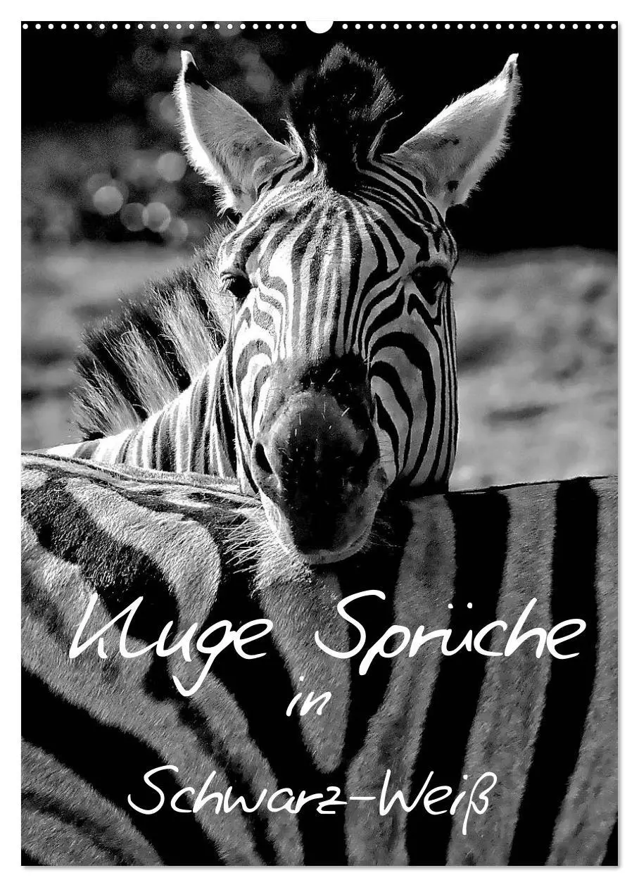Cover: 9783516462548 | Kluge Sprüche in Schwarz-Weiß (Wandkalender 2026 DIN A2 hoch),...