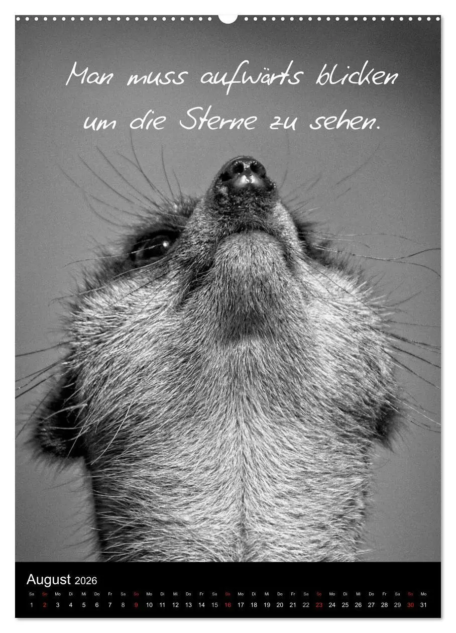 Bild: 9783516462548 | Kluge Sprüche in Schwarz-Weiß (Wandkalender 2026 DIN A2 hoch),...