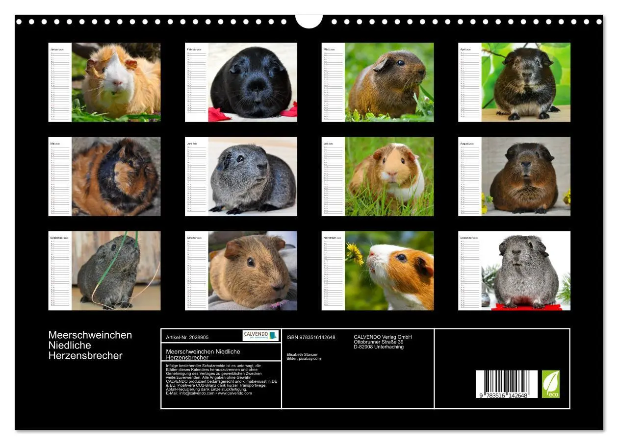 Bild: 9783516142648 | Meerschweinchen Niedliche Herzensbrecher (Wandkalender 2026 DIN A3...