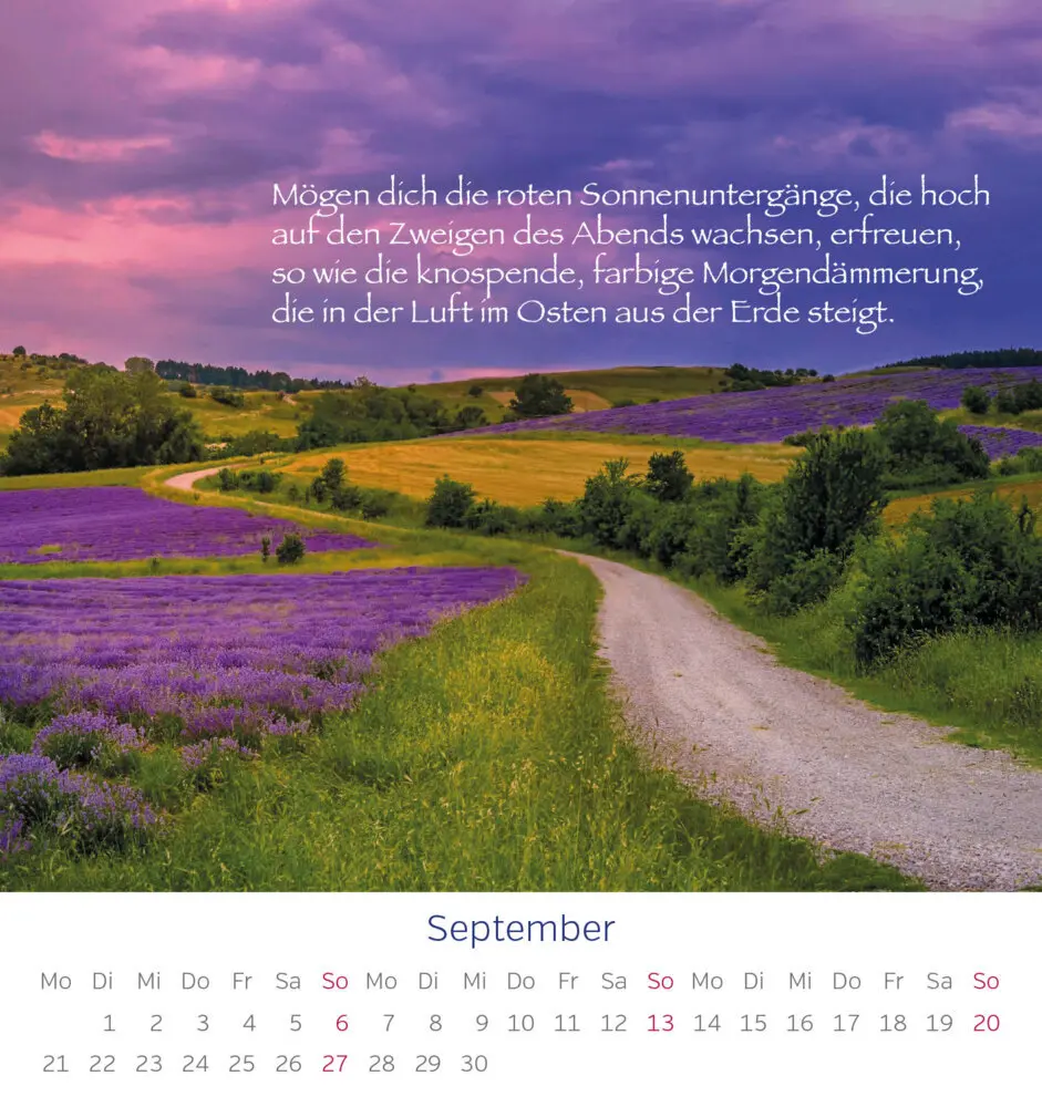 Bild: 9783957482648 | Irische Segenssprüche 2026 | Kalender | Spiralbindung | 13 S. | 2026