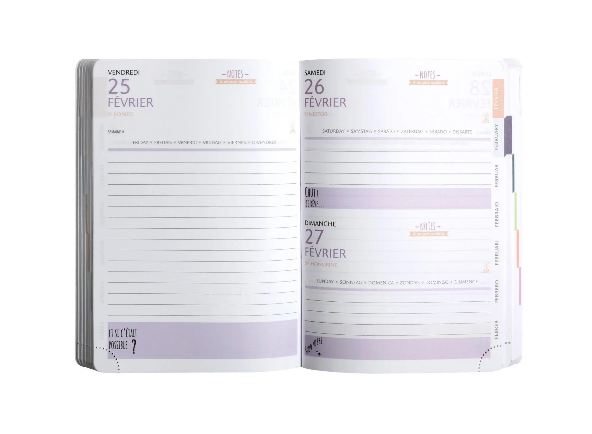 Bild: 3660942072748 | Schülerkalender Forum Soft Harmony 2025/2026 | Schülerkalender | Vadis