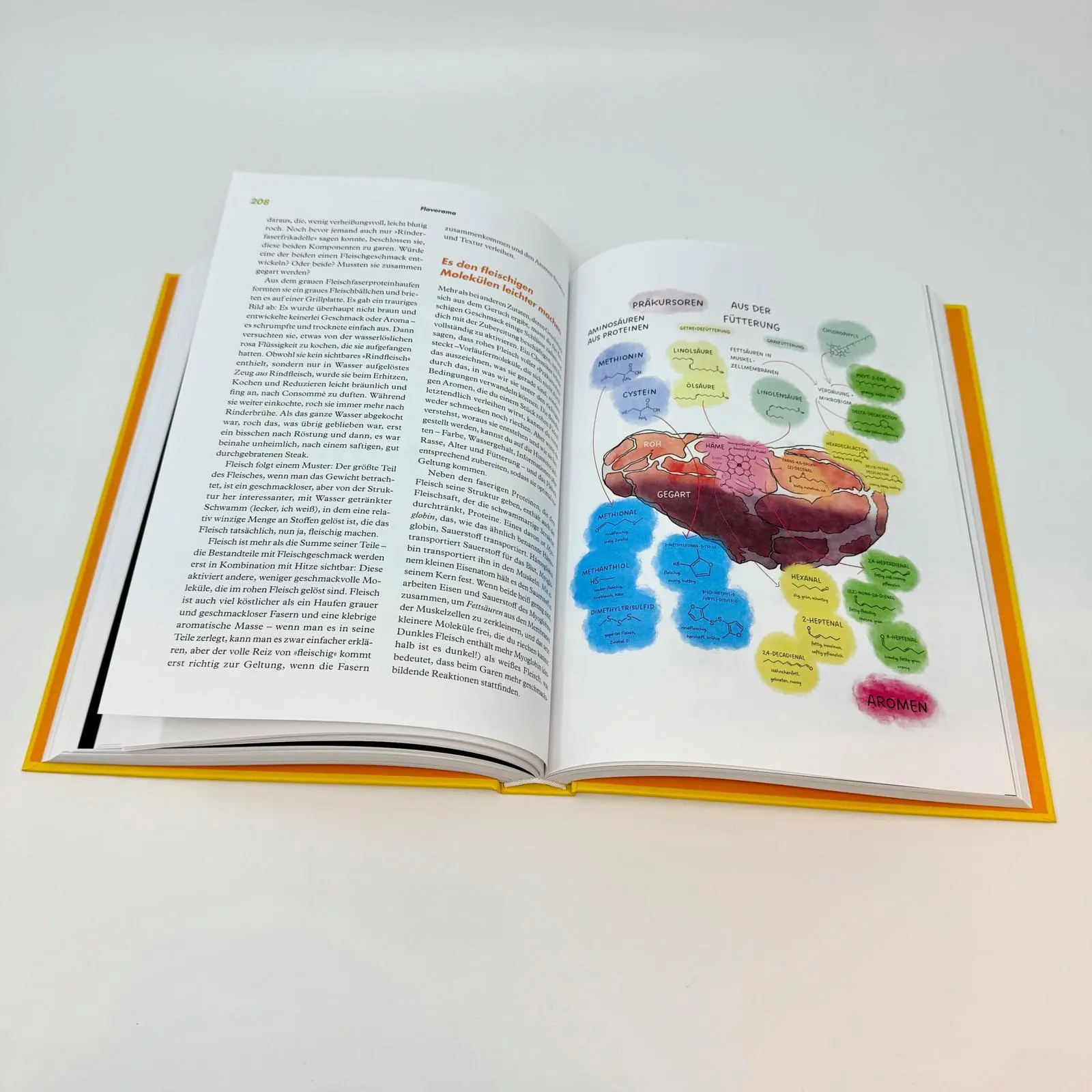 Bild: 9783864932748 | Flavorama | Arielle Johnson | Buch | 352 S. | Deutsch | 2024