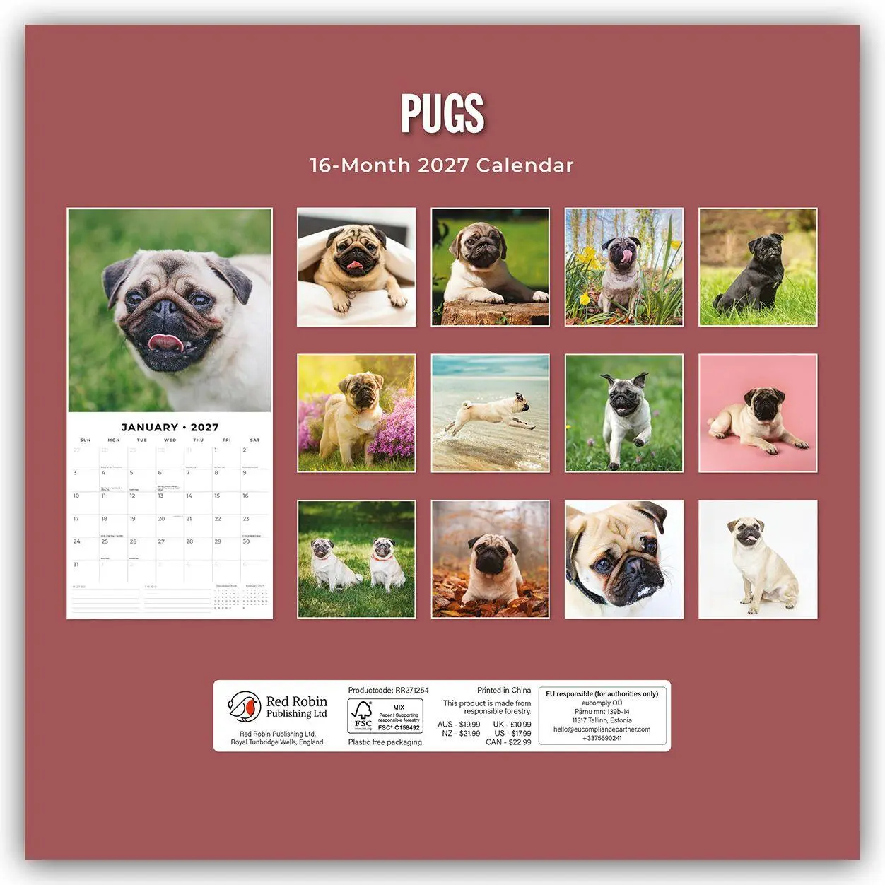 Bild: 9781837012848 | Pugs - Mops 2027 - 16-Monatskalender | Robin Red | Kalender | 28 S.