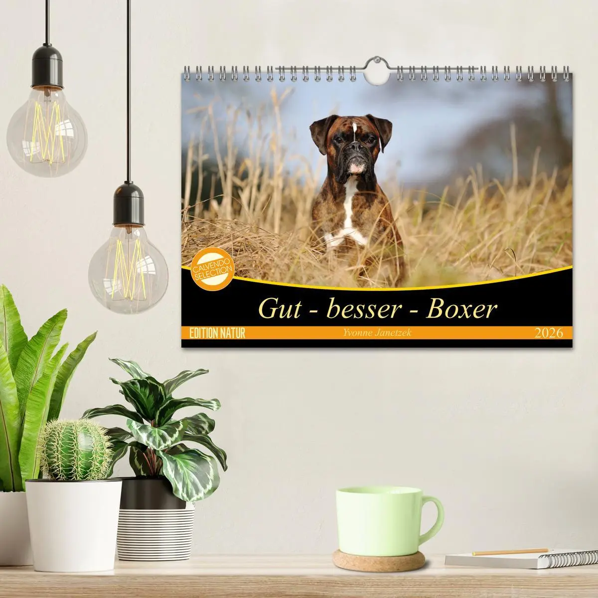 Bild: 9783457882948 | Gut - besser - Boxer (Wandkalender 2026 DIN A4 quer), CALVENDO...