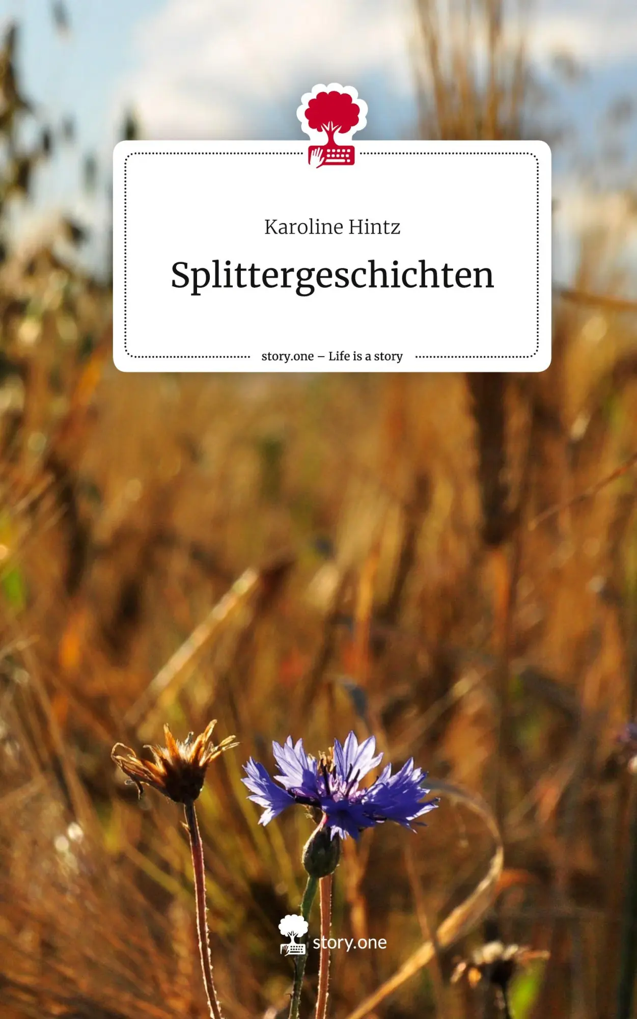 Cover: 9783711522948 | Splittergeschichten. Life is a Story - story.one | Karoline Hintz