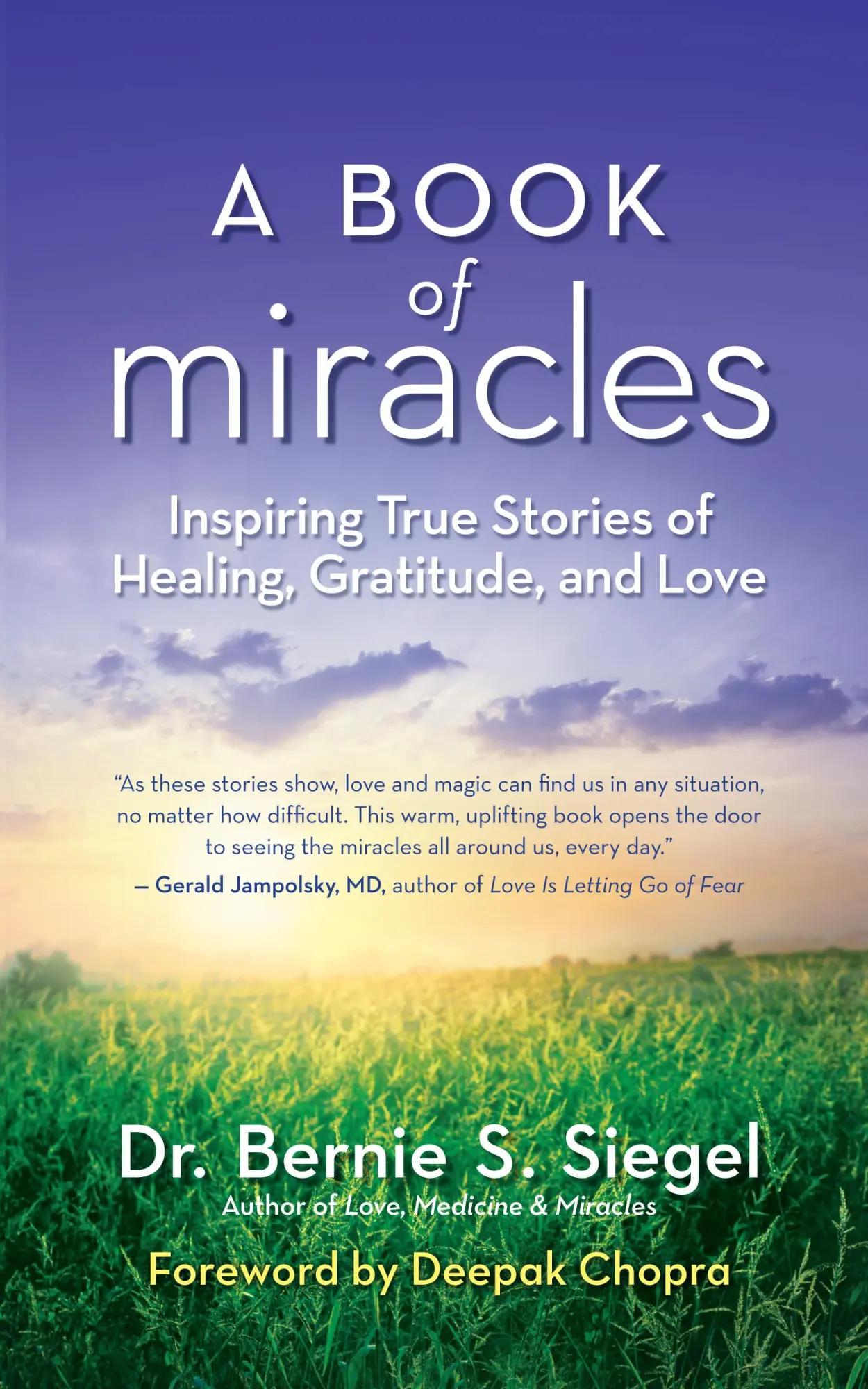Cover: 9781608683048 | A Book of Miracles | Bernie S Siegel | Taschenbuch | Englisch | 2014