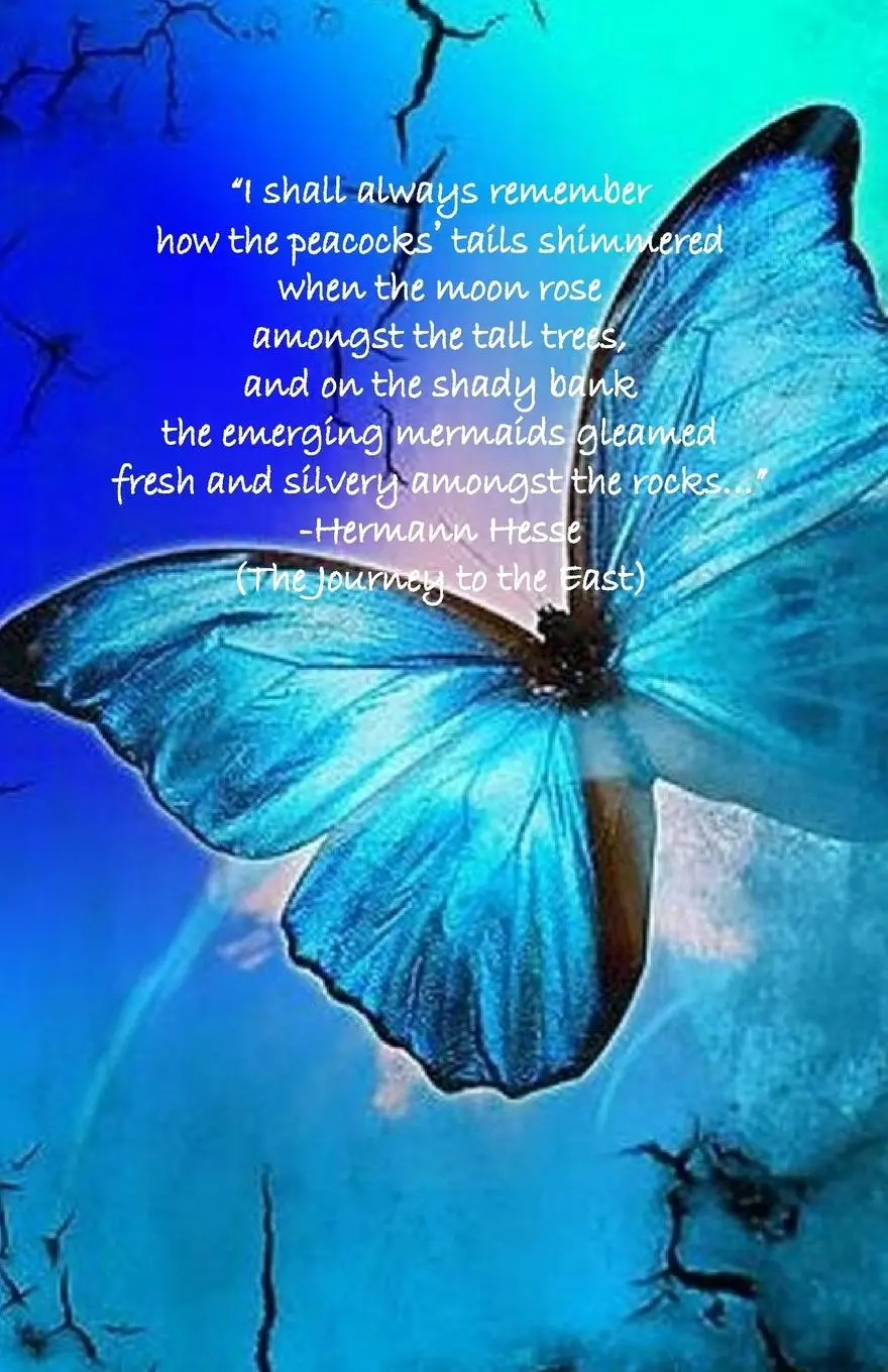 Rückseite: 9781732573048 | The Night Peacock | Hermann Hesse | Taschenbuch | Englisch | 2021