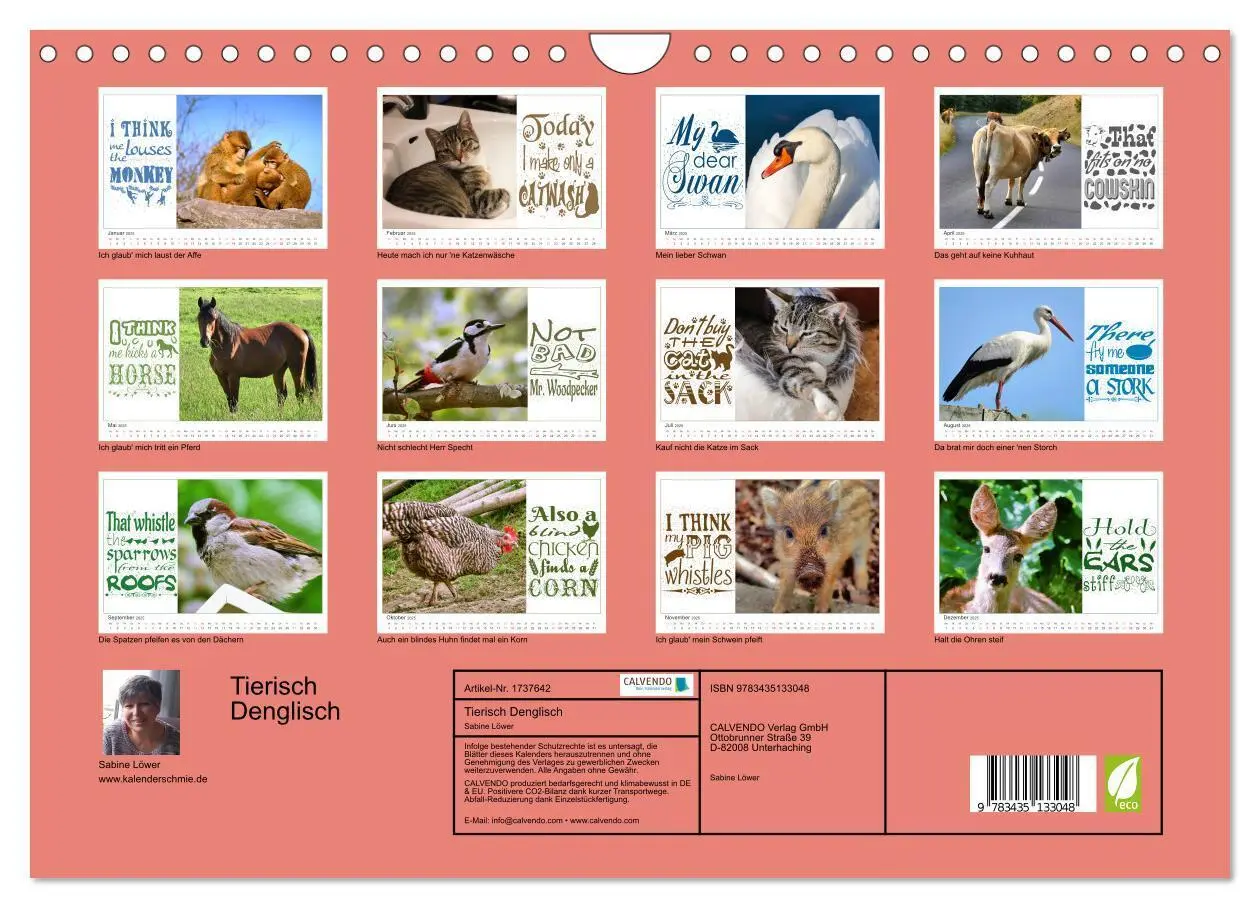 Bild: 9783435133048 | Tierisch Denglisch (Wandkalender 2025 DIN A4 quer), CALVENDO...