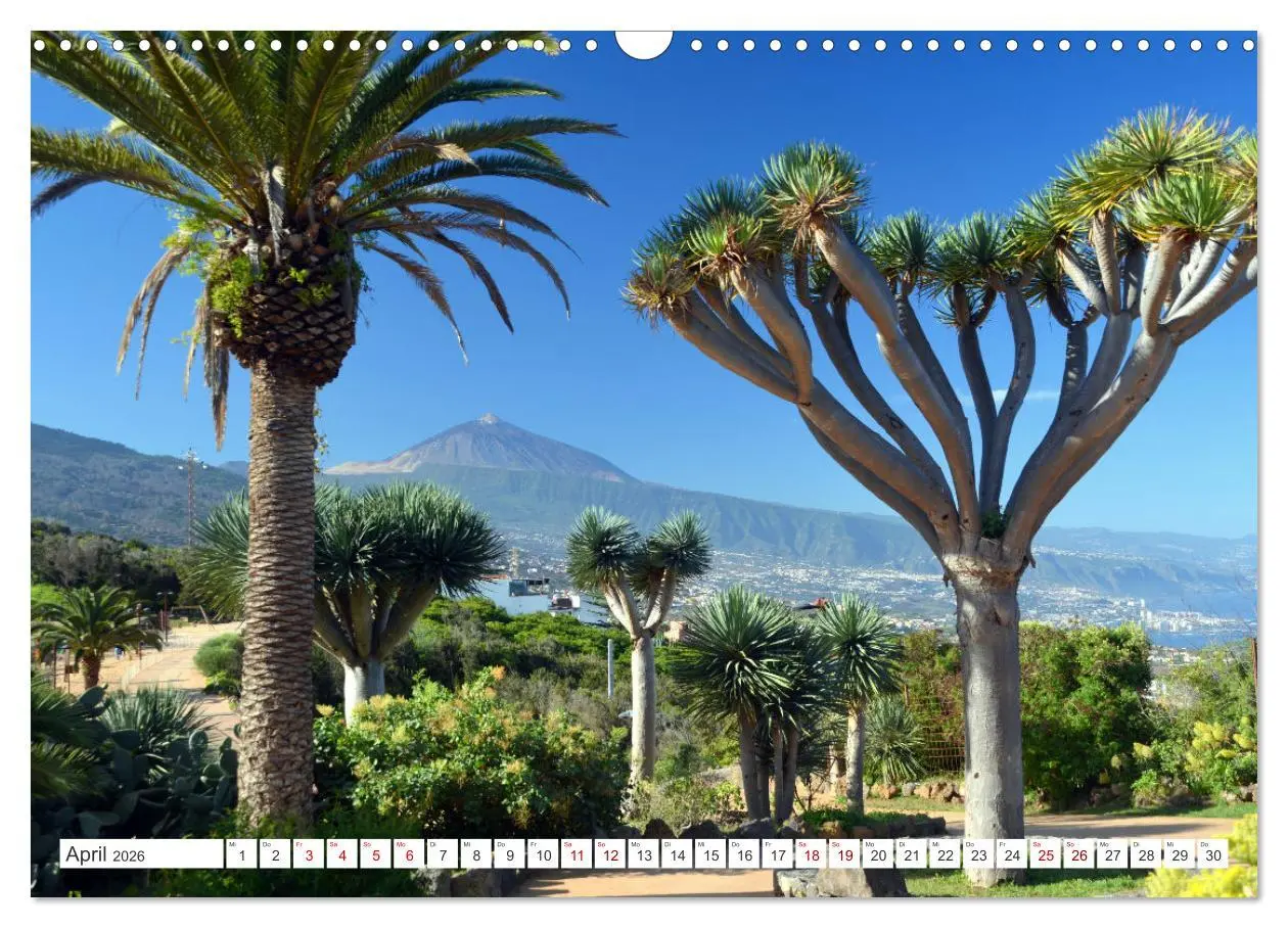 Bild: 9783457533048 | Teneriffa Insel der Glückseligen (Wandkalender 2026 DIN A3 quer),...