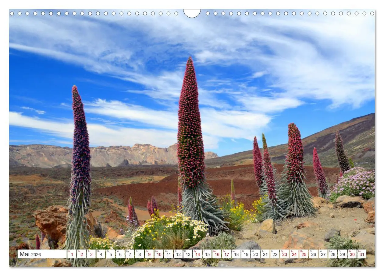 Bild: 9783457533048 | Teneriffa Insel der Glückseligen (Wandkalender 2026 DIN A3 quer),...