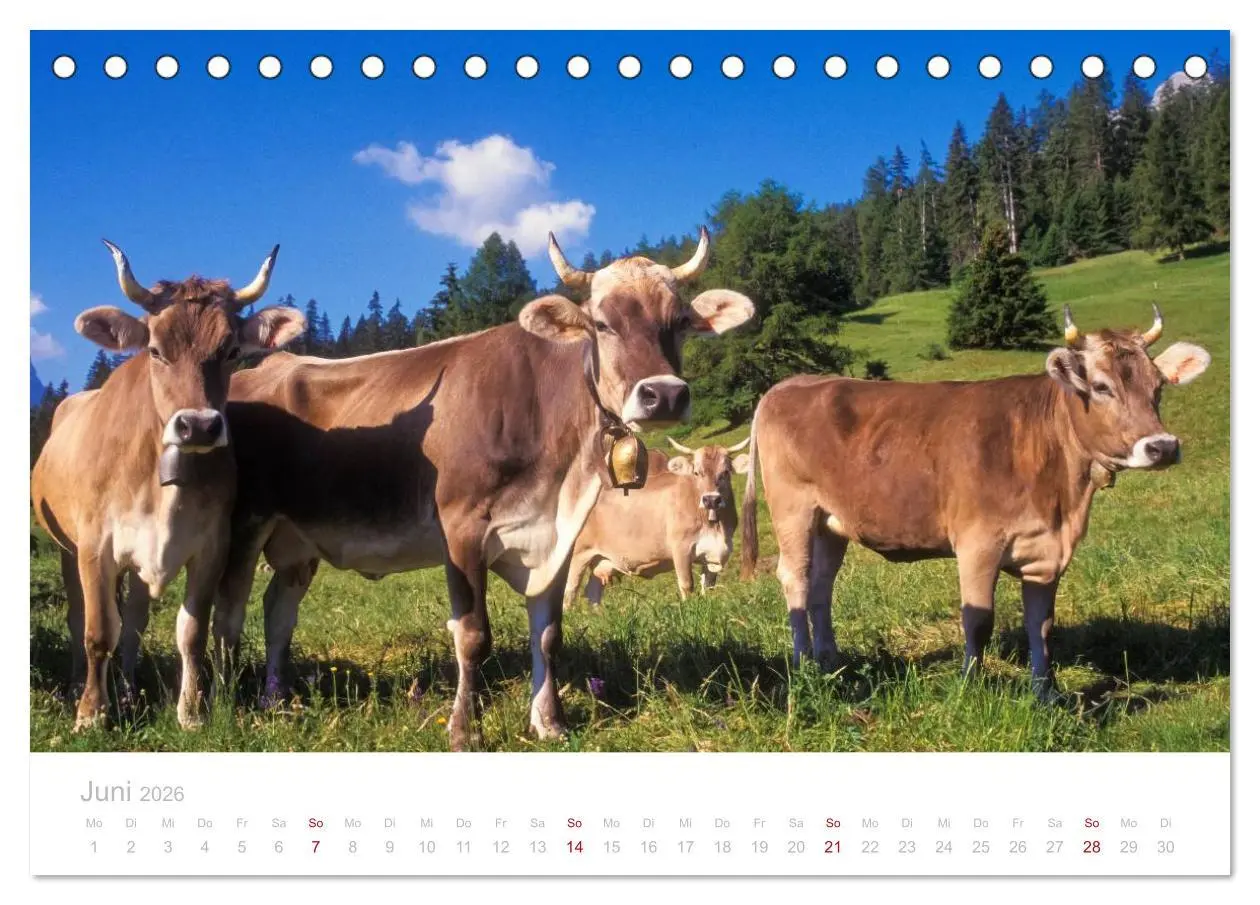 Bild: 9783516173048 | Graubünden Engadin 2026 (Tischkalender 2026 DIN A5 quer), CALVENDO...