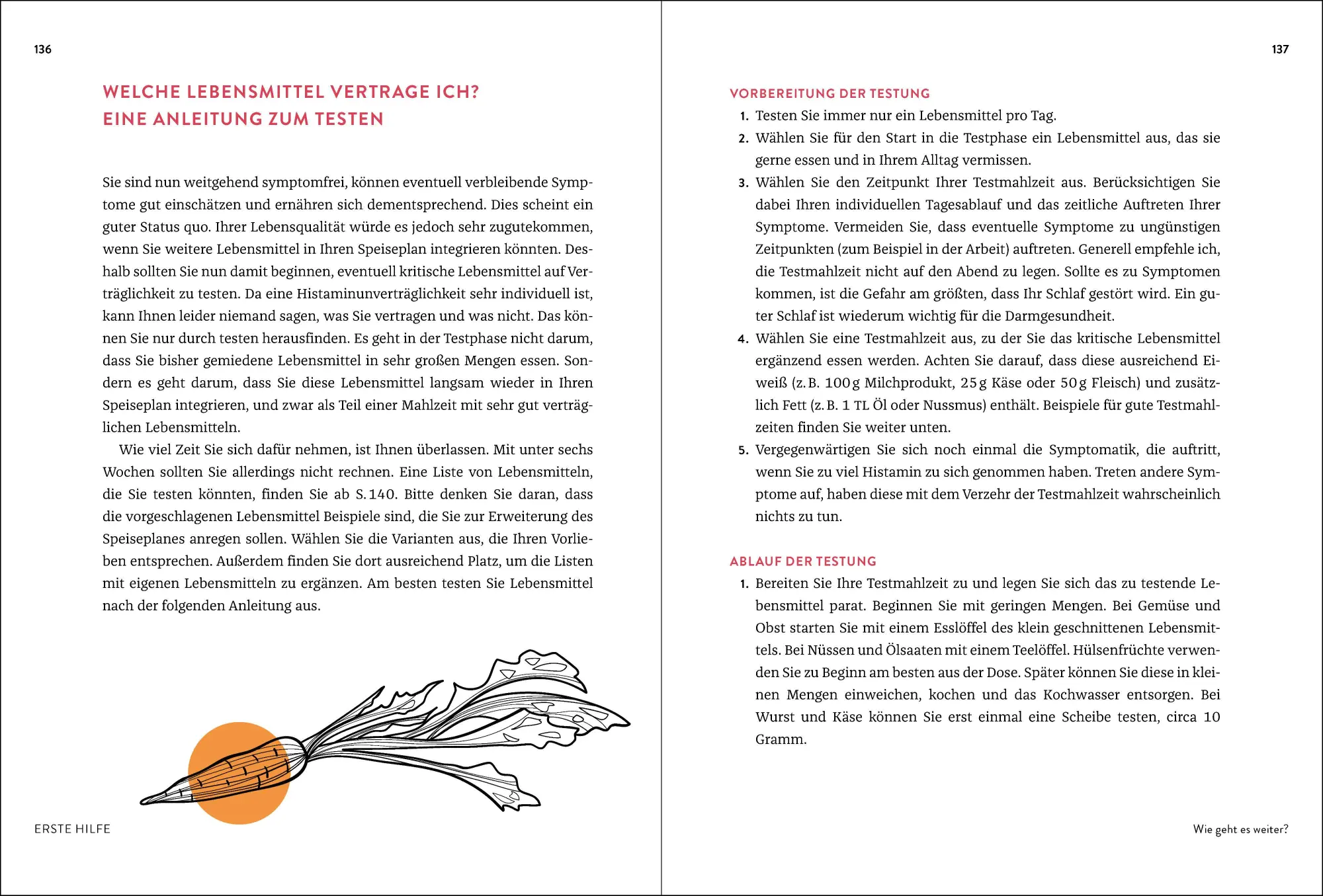 Bild: 9783517303048 | Mein Histaminintoleranz-Journal | Yvonne Braun | Taschenbuch | 192 S.