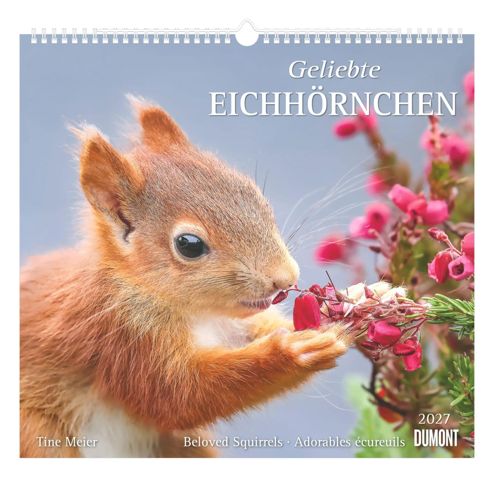 Cover: 4069095013148 | Geliebte Eichhörnchen 2027 | Neumann Verlage GmbH &amp; Co KG | Kalender