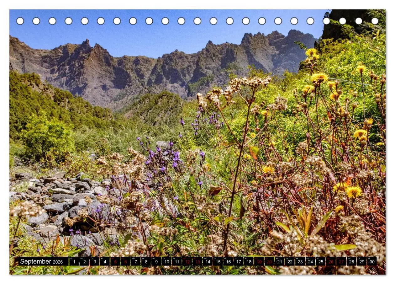 Bild: 9783457833148 | Natur pur erleben auf La Palma (Tischkalender 2026 DIN A5 quer),...