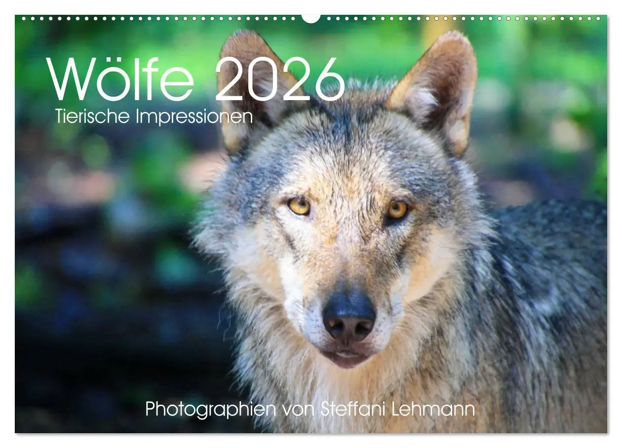 Cover: 9783457903148 | Wölfe 2026. Tierische Impressionen (Wandkalender 2026 DIN A2 quer),...