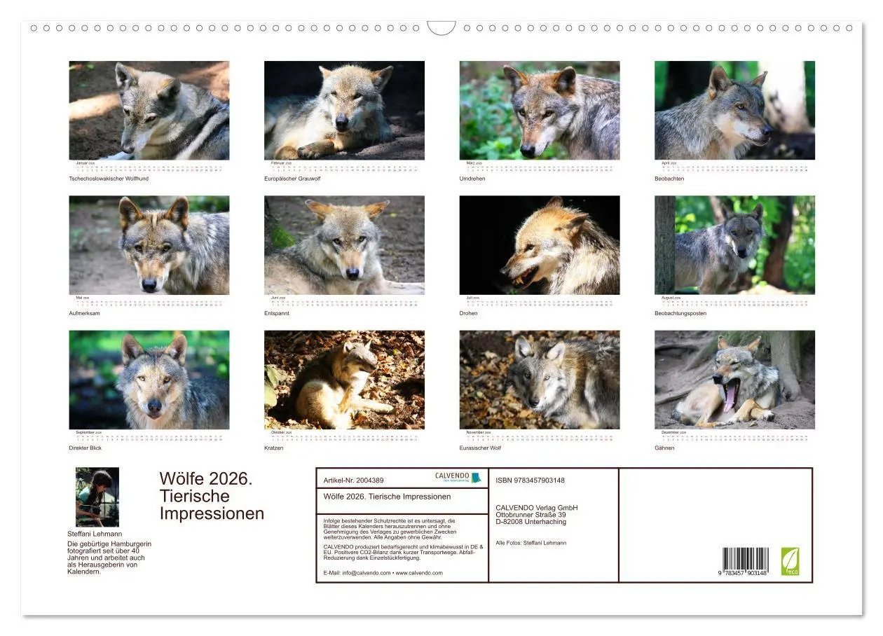 Bild: 9783457903148 | Wölfe 2026. Tierische Impressionen (Wandkalender 2026 DIN A2 quer),...