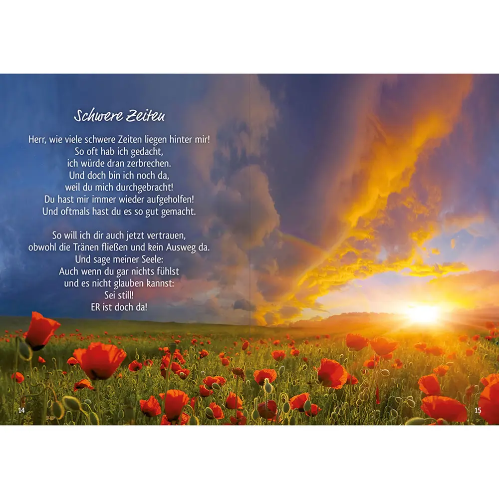 Bild: 9783842943148 | Lass Trost sein | An Gottes Hand durch schwere Zeiten | Ruth Heil