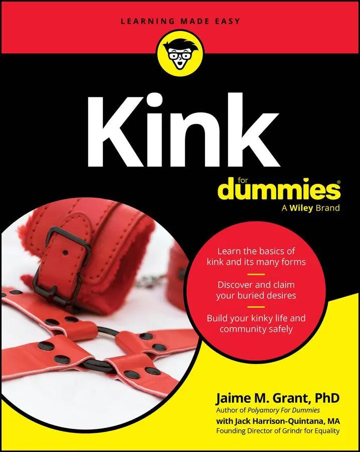 Cover: 9781394353248 | Kink for Dummies | Jaime M Grant (u. a.) | Taschenbuch | Englisch