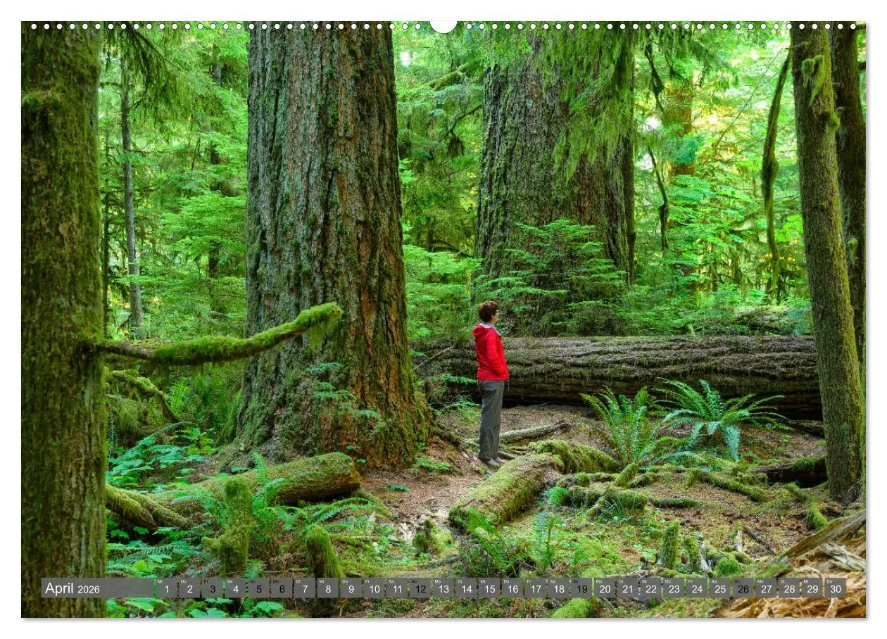 Bild: 9783457683248 | Kanada der Westen (hochwertiger Premium Wandkalender 2026 DIN A2...