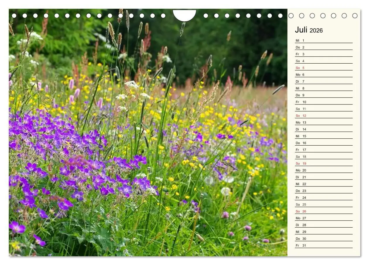Bild: 9783457993248 | Der Harz - Sagenumwoben und Wildromantisch (Wandkalender 2026 DIN...