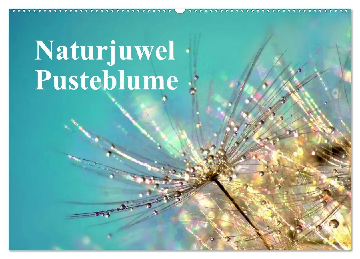 Cover: 9783516153248 | Naturjuwel Pusteblume (Wandkalender 2026 DIN A2 quer), CALVENDO...