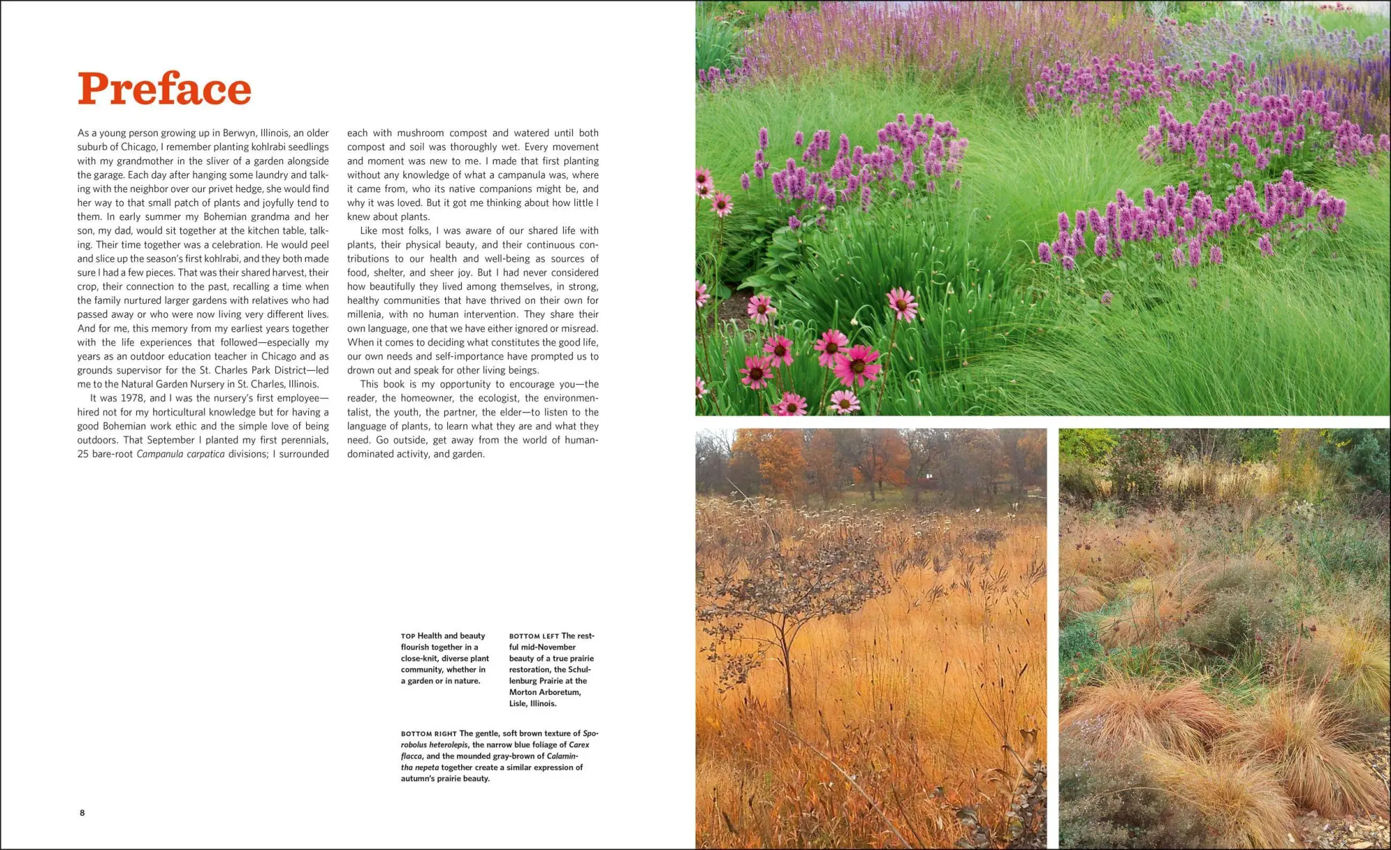 Bild: 9781604693348 | The Know Maintenance Perennial Garden | Roy Diblik | Taschenbuch