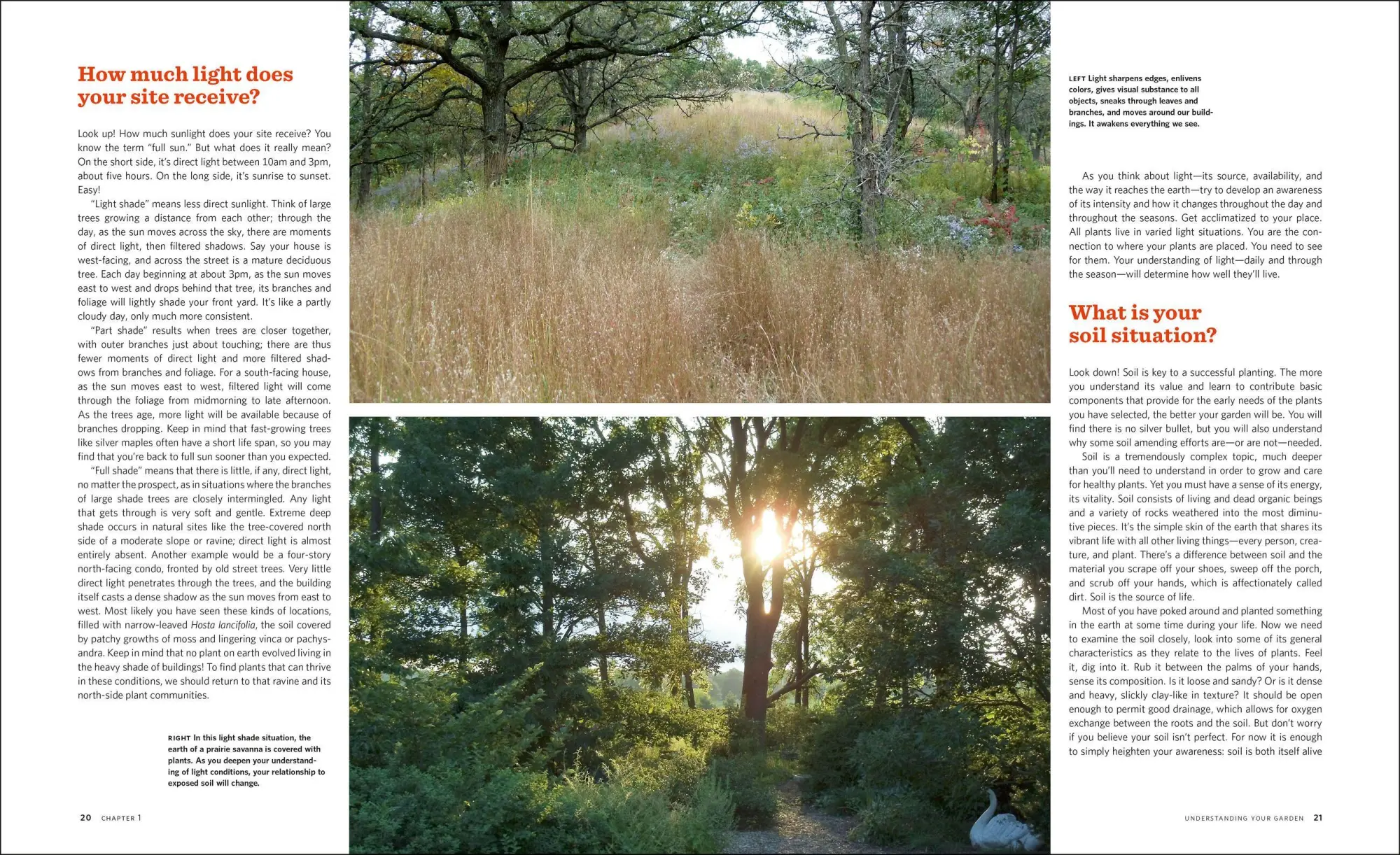Bild: 9781604693348 | The Know Maintenance Perennial Garden | Roy Diblik | Taschenbuch