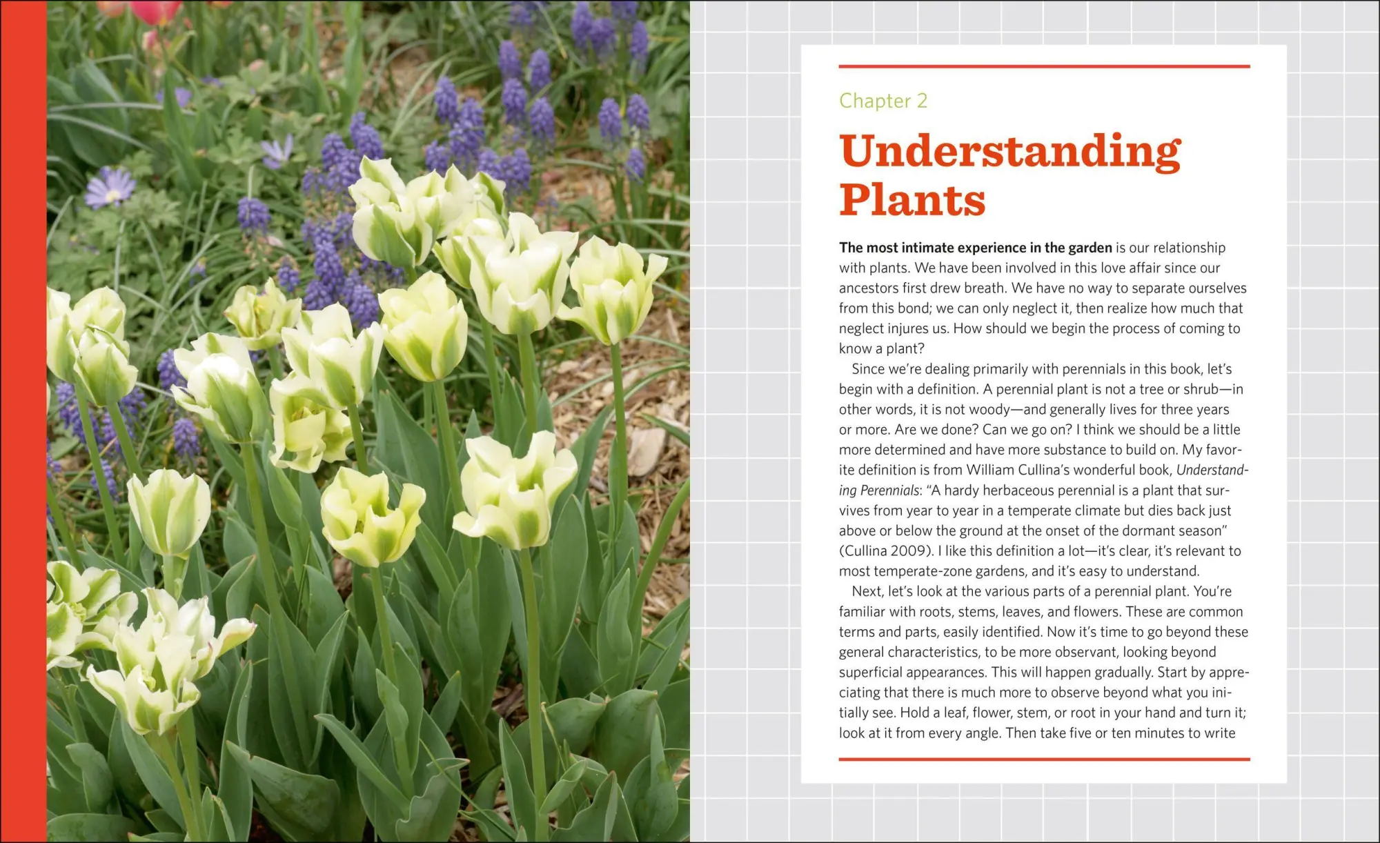 Bild: 9781604693348 | The Know Maintenance Perennial Garden | Roy Diblik | Taschenbuch