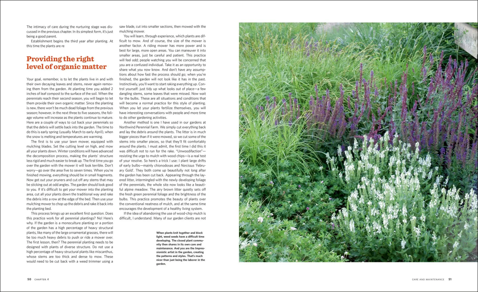 Bild: 9781604693348 | The Know Maintenance Perennial Garden | Roy Diblik | Taschenbuch