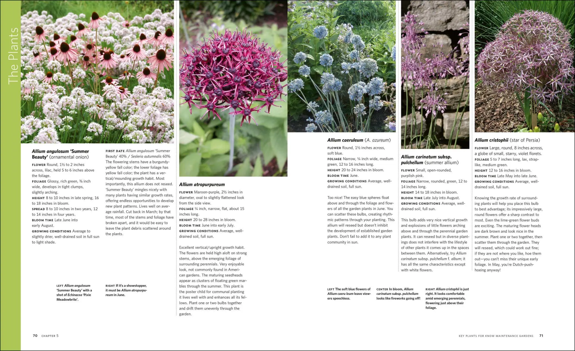 Bild: 9781604693348 | The Know Maintenance Perennial Garden | Roy Diblik | Taschenbuch