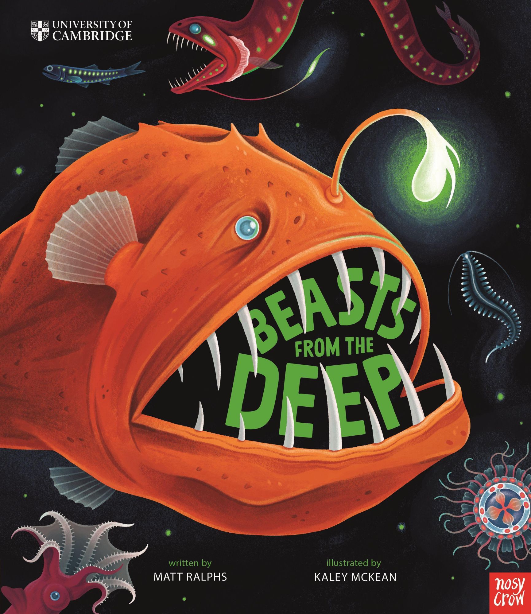 Cover: 9781839943348 | University of Cambridge: Beasts From the Deep | Matt Ralphs | Buch