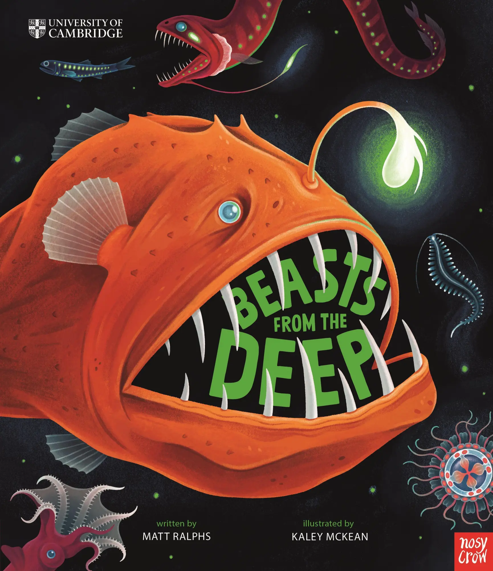 Cover: 9781839943348 | University of Cambridge: Beasts From the Deep | Matt Ralphs | Buch