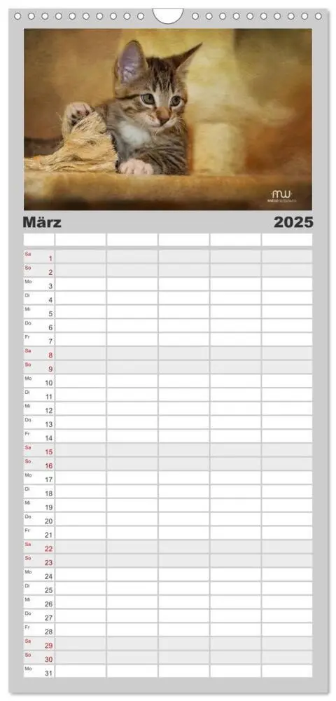 Bild: 9783457123348 | Familienplaner 2025 - Zauberhafte Kätzchen mit 5 Spalten...