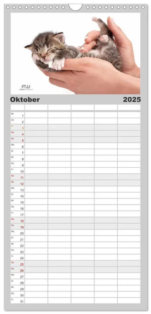 Bild: 9783457123348 | Familienplaner 2025 - Zauberhafte Kätzchen mit 5 Spalten...