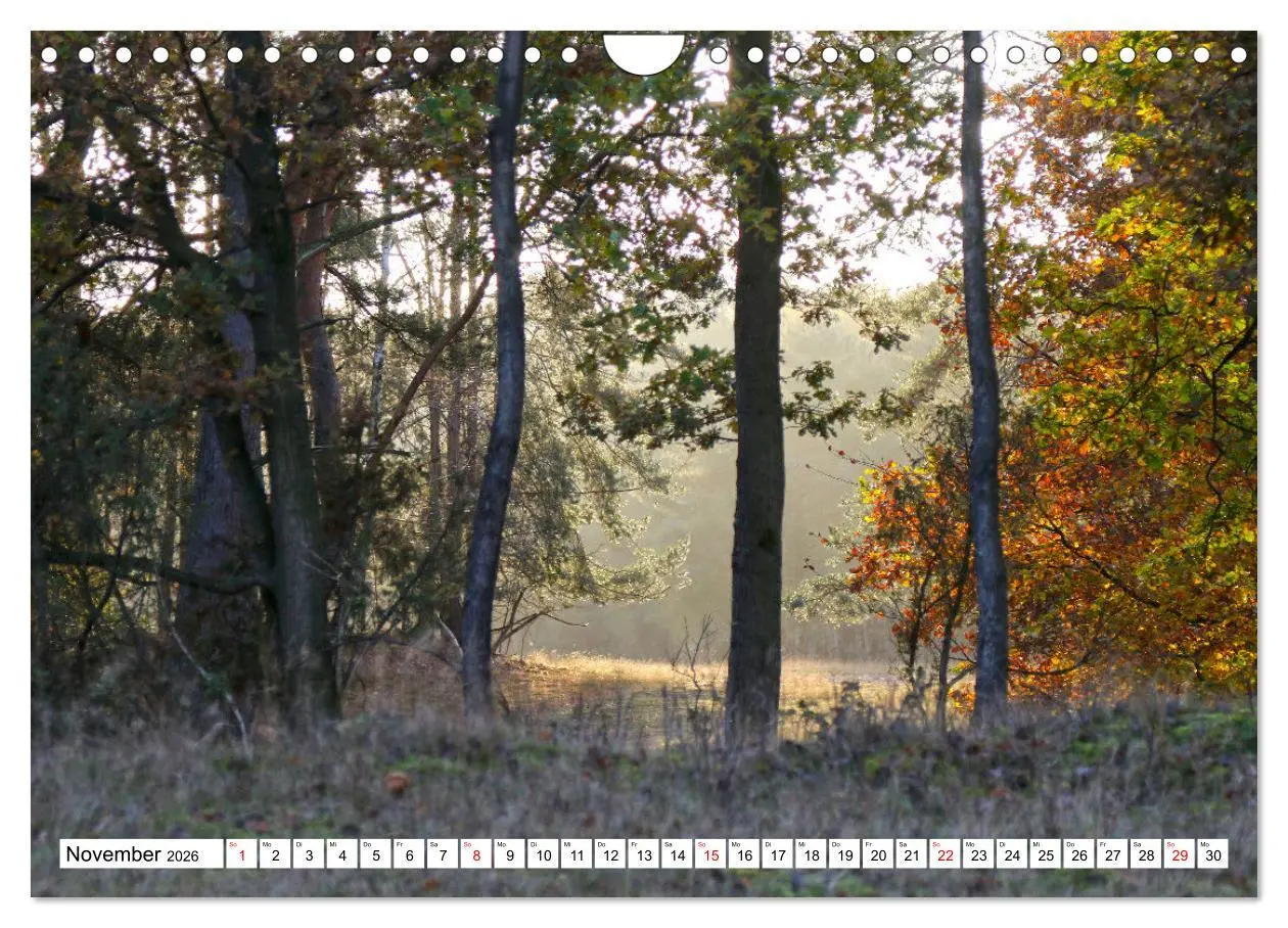 Bild: 9783457363348 | Lingen Ems (Wandkalender 2026 DIN A4 quer), CALVENDO Monatskalender