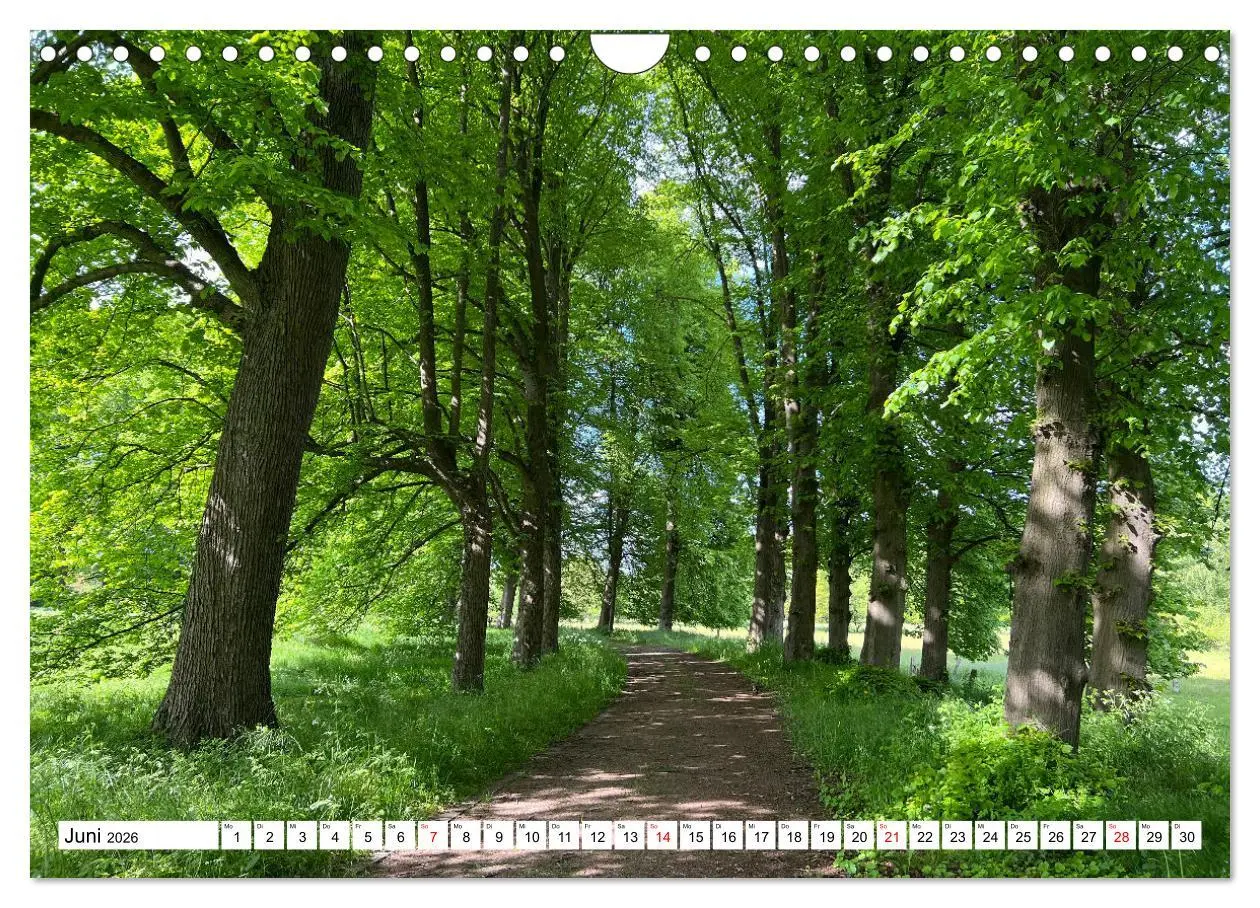 Bild: 9783457363348 | Lingen Ems (Wandkalender 2026 DIN A4 quer), CALVENDO Monatskalender